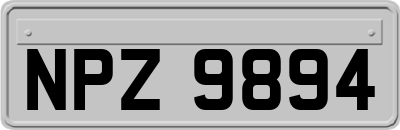 NPZ9894