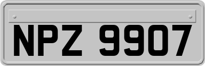 NPZ9907