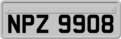 NPZ9908