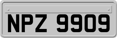 NPZ9909