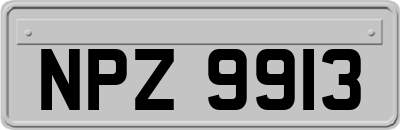 NPZ9913