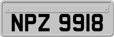 NPZ9918