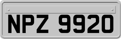 NPZ9920