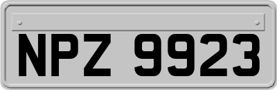 NPZ9923