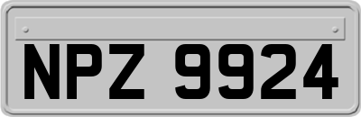 NPZ9924