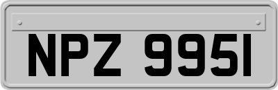 NPZ9951