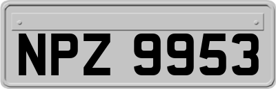 NPZ9953