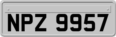 NPZ9957