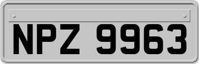 NPZ9963