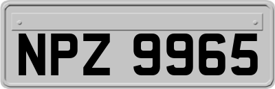 NPZ9965