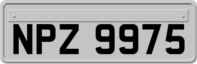 NPZ9975