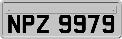 NPZ9979