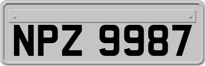 NPZ9987