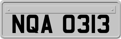 NQA0313