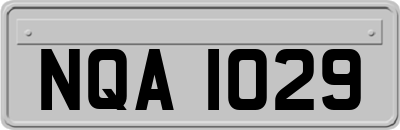 NQA1029