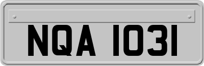 NQA1031
