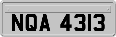 NQA4313