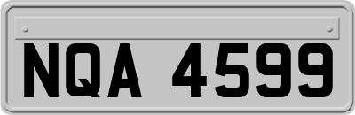 NQA4599
