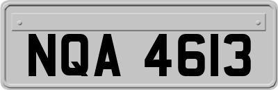 NQA4613