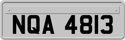NQA4813