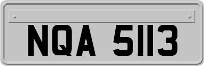 NQA5113