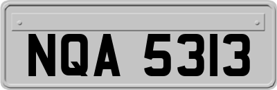 NQA5313