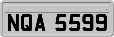 NQA5599