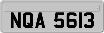 NQA5613