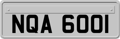 NQA6001