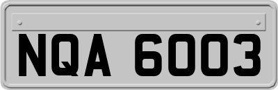 NQA6003
