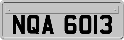 NQA6013