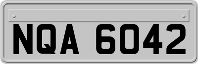 NQA6042