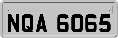 NQA6065