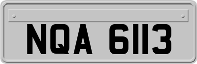NQA6113