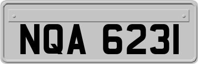 NQA6231