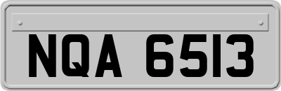 NQA6513