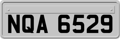 NQA6529