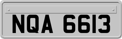 NQA6613