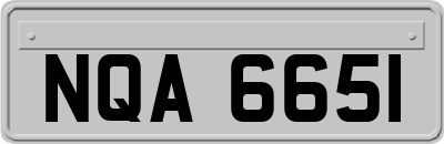 NQA6651