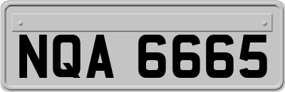NQA6665
