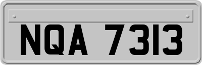 NQA7313