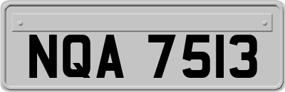 NQA7513