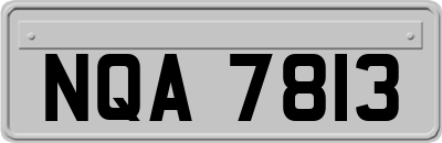 NQA7813