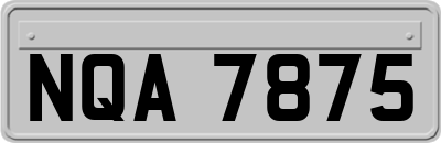 NQA7875
