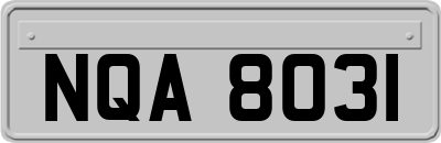NQA8031