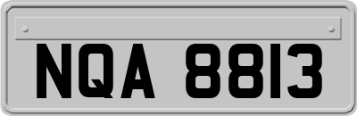 NQA8813