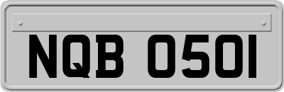 NQB0501
