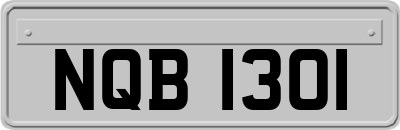 NQB1301