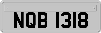 NQB1318
