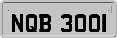 NQB3001